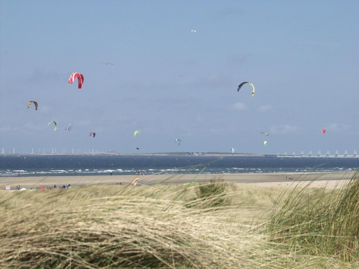 Walvis Nr. 26b