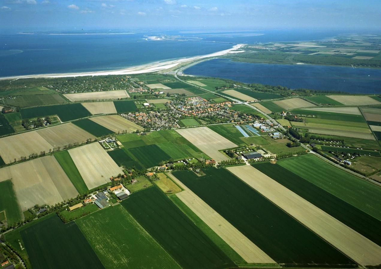 Walvis Nr. 26b * Vrouwenpolder